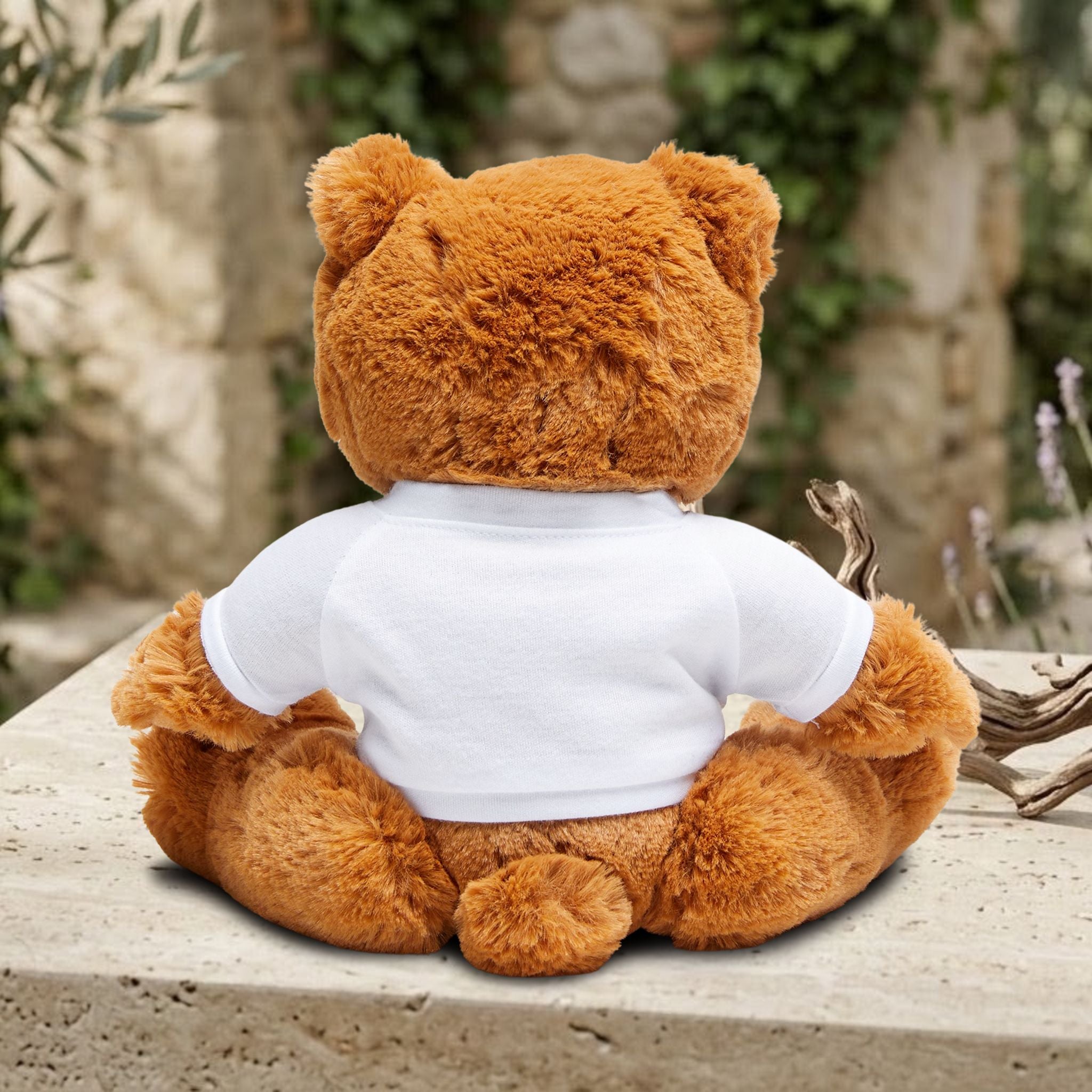 Teddy Bear with T-Shirt