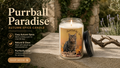 Autumn Spice Soy Candle — "Suburban Paradise" Cat 13.75oz