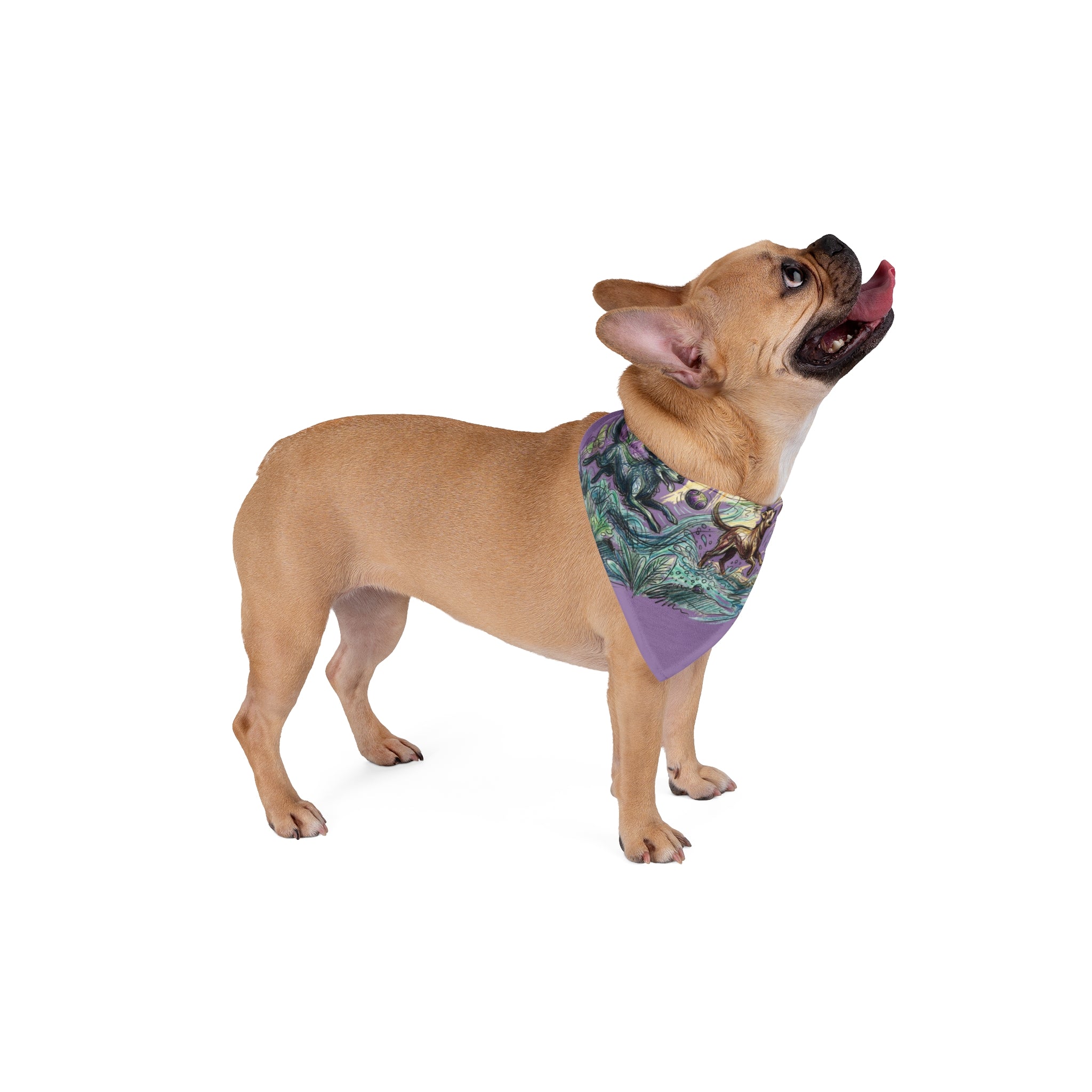 Dog Bandana — Navy & Coral Bone Pattern Pet Bandana