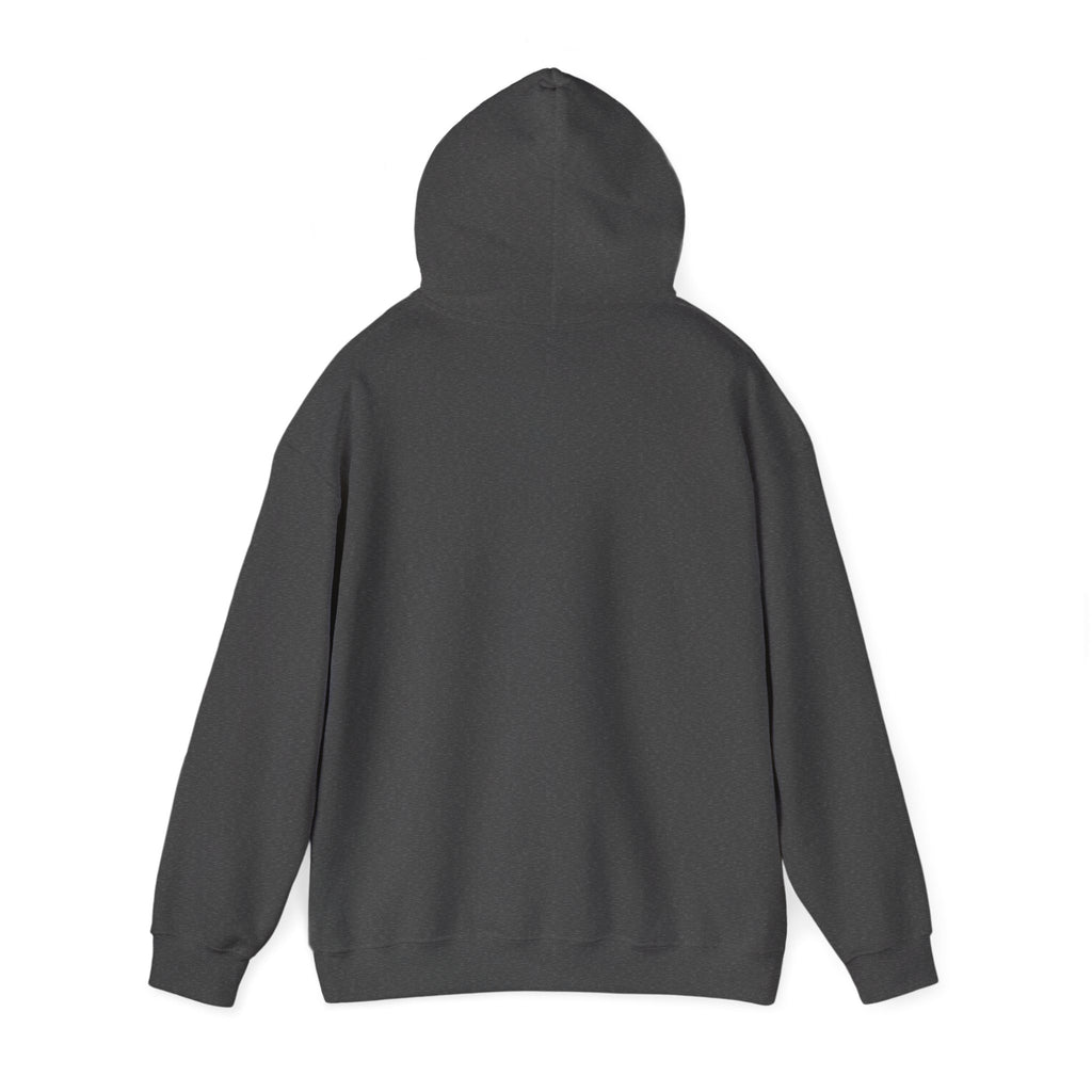 Cat Portrait Hoodie — Retro Bob-Cut Orange Cat Graphic Sweatshirt