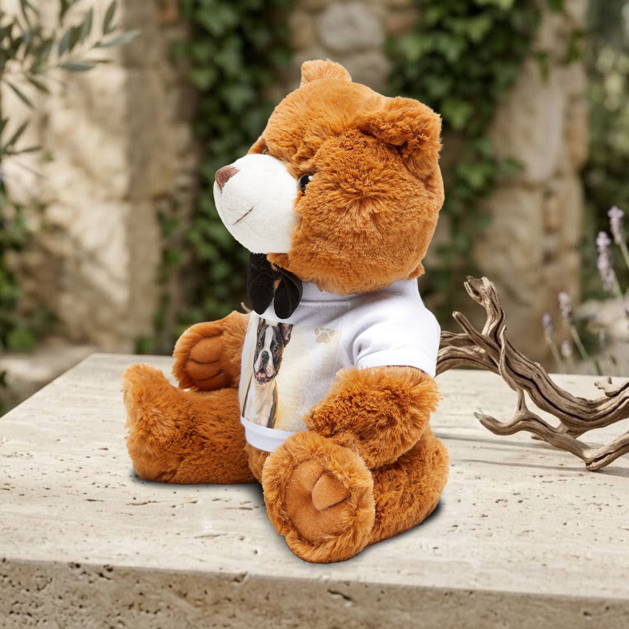 Teddy Bear with T-Shirt